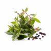 Aromatic Herbs Natural Flavour