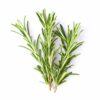 Rosemary Flavour